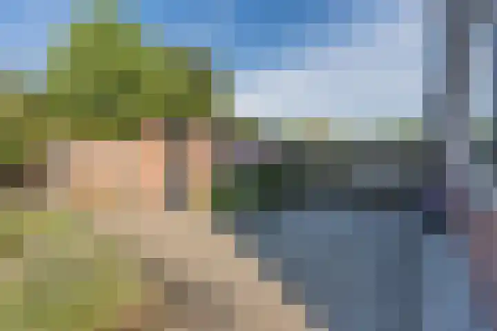 Pr.Bernhardlaan 1 Nieuwleusen thumbnail 32