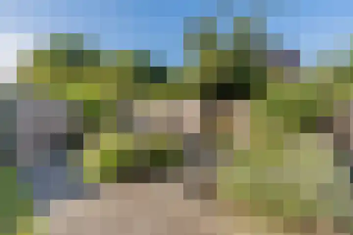 Pr.Bernhardlaan 1 Nieuwleusen thumbnail 33