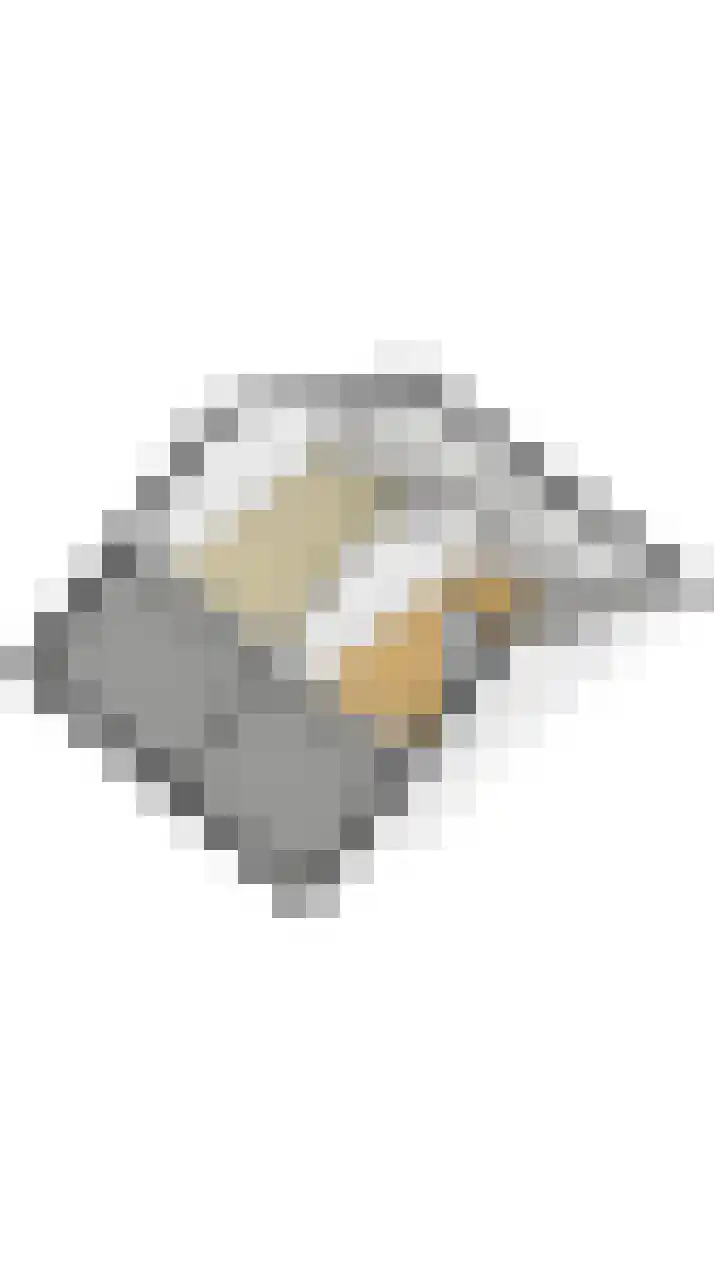 Pr.Bernhardlaan 1 Nieuwleusen thumbnail 46
