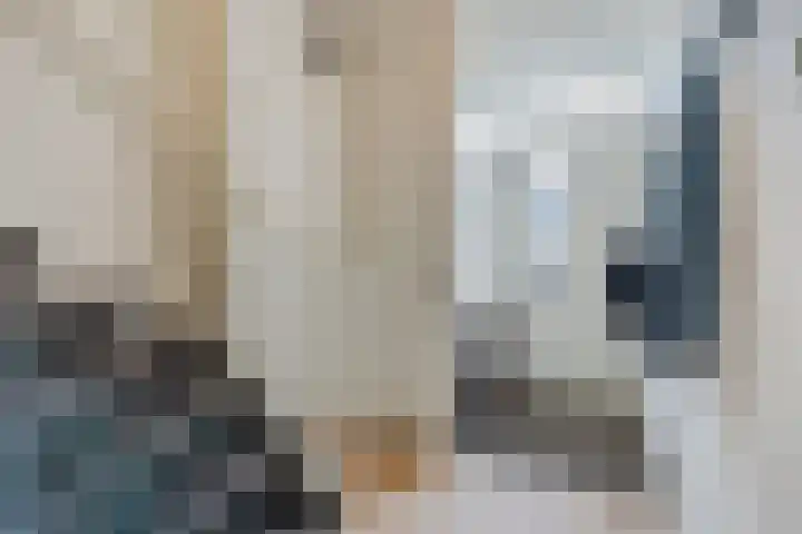 Pr.Bernhardlaan 1 Nieuwleusen thumbnail 5