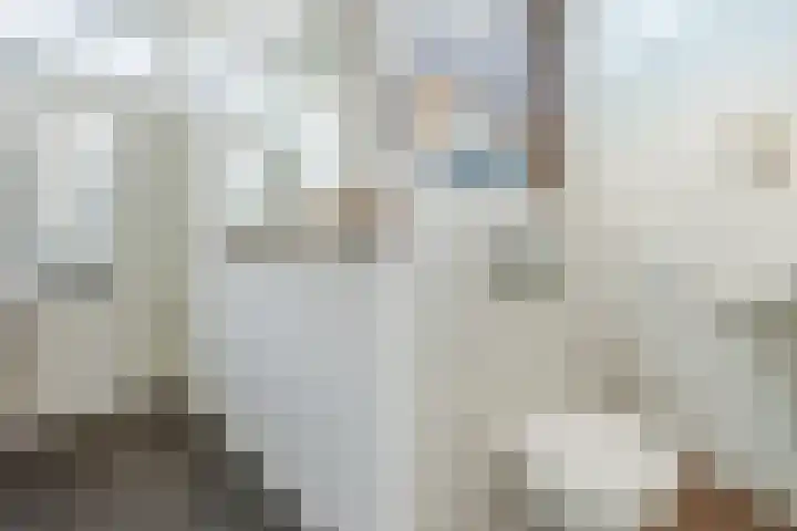 Pr.Bernhardlaan 1 Nieuwleusen thumbnail 6
