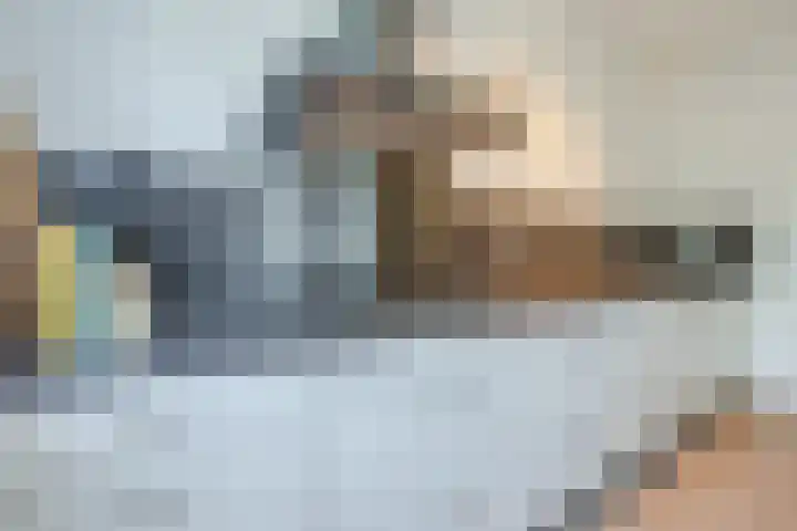 Pr.Bernhardlaan 1 Nieuwleusen thumbnail 8