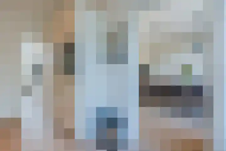 Pr.Bernhardlaan 1 Nieuwleusen thumbnail 9