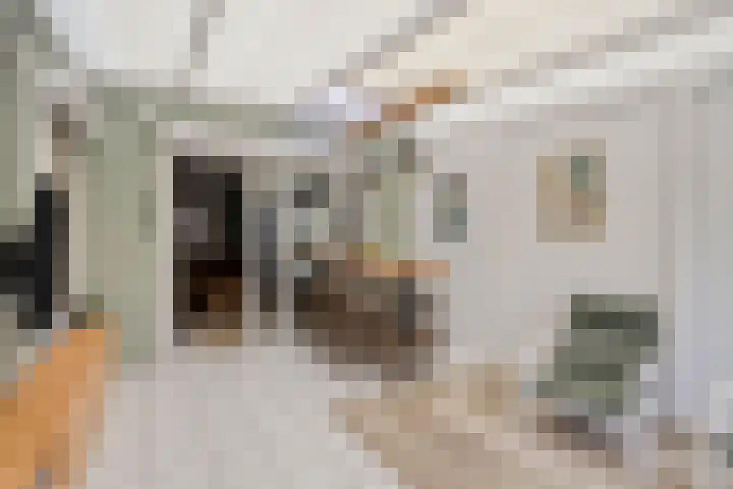 Pr. Bernhardstraat 26 Horst thumbnail 20