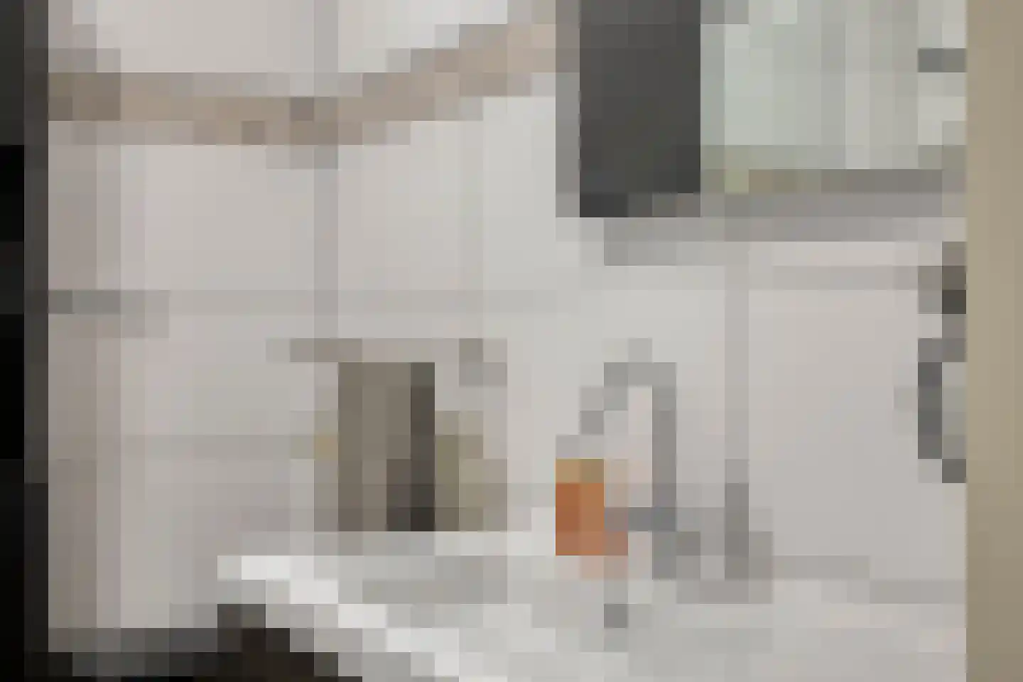 Pr. Bernhardstraat 26 Horst thumbnail 26