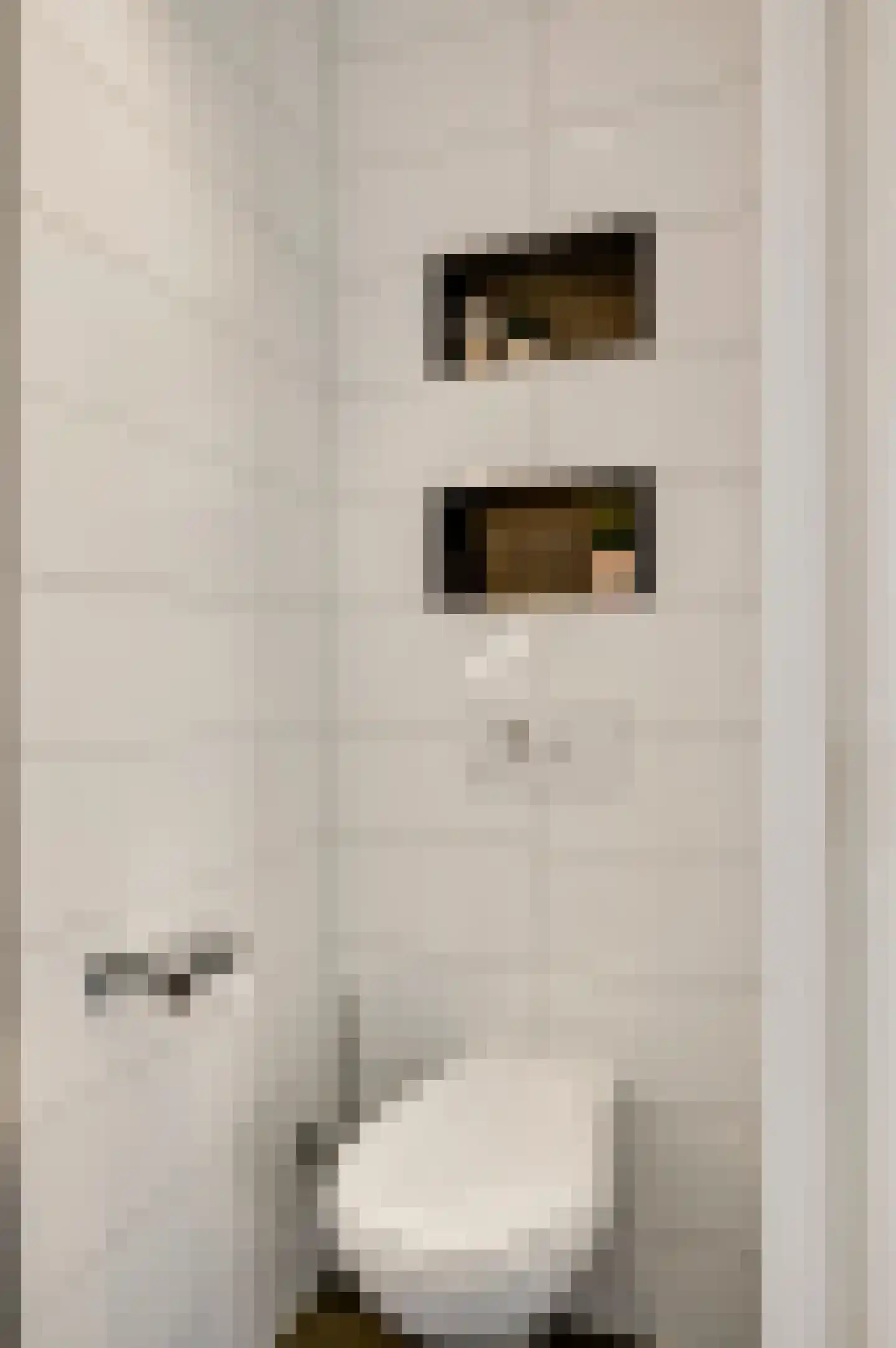 Pr. Bernhardstraat 27 Horst thumbnail 29