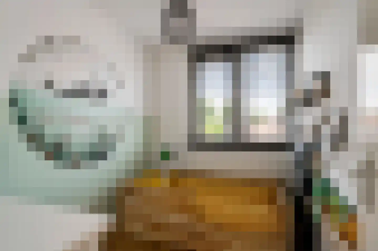 Pr. Bernhardstraat 27 Horst thumbnail 32