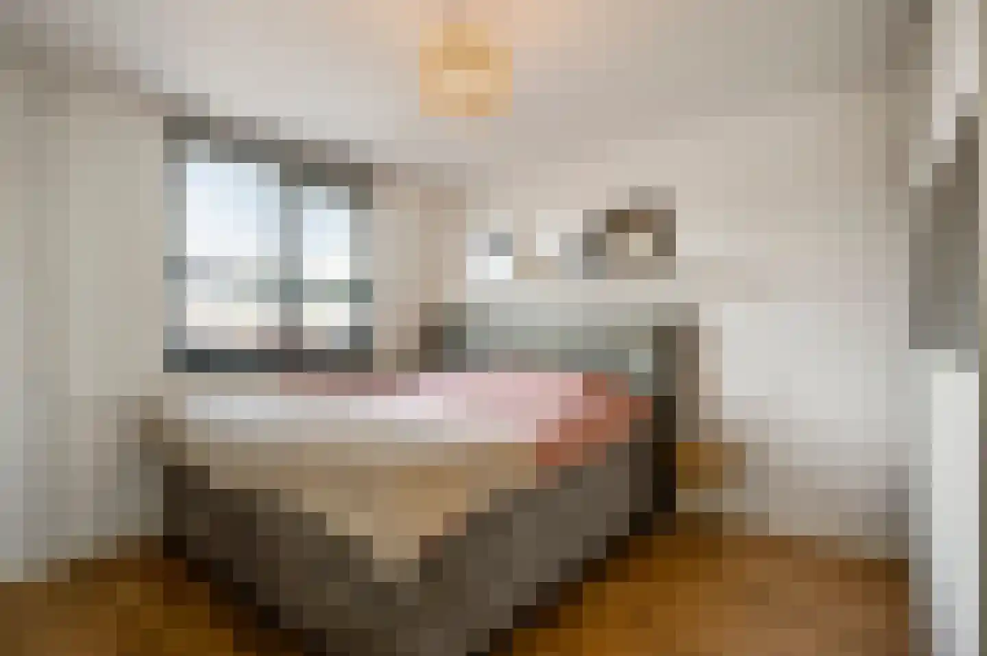 Pr. Bernhardstraat 27 Horst thumbnail 33