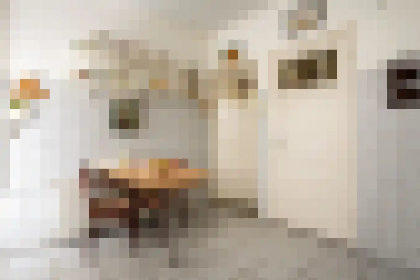 Pr Bernhardstraat 45 Hoogerheide thumbnail 12