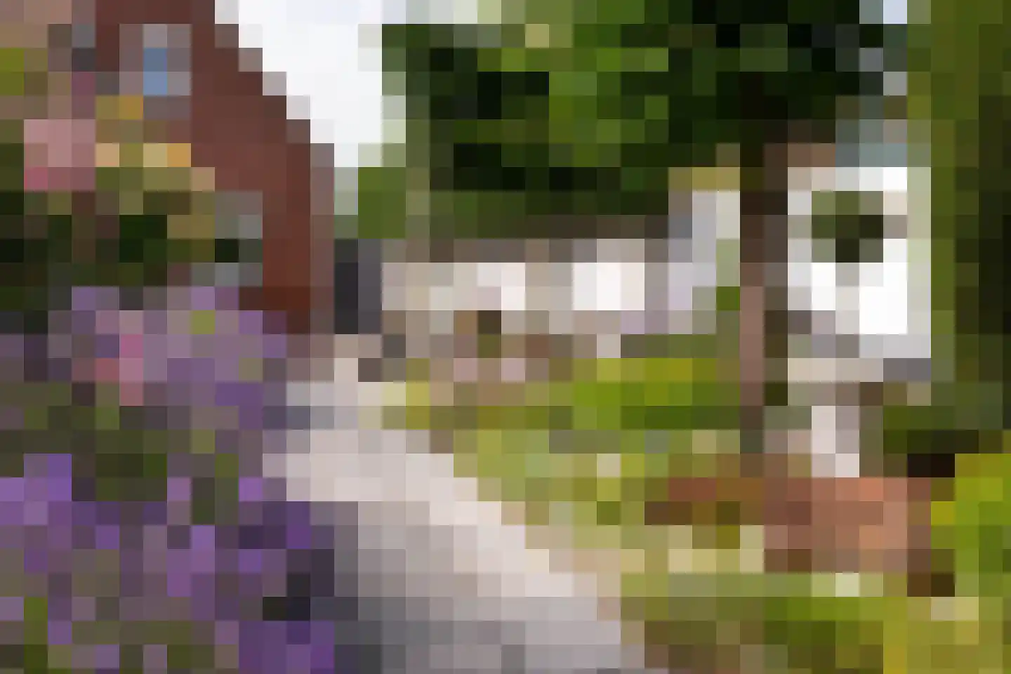 Pr Bernhardstraat 45 Hoogerheide thumbnail 32