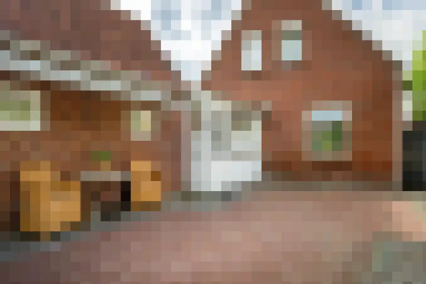 Pr Bernhardstraat 45 Hoogerheide thumbnail 33
