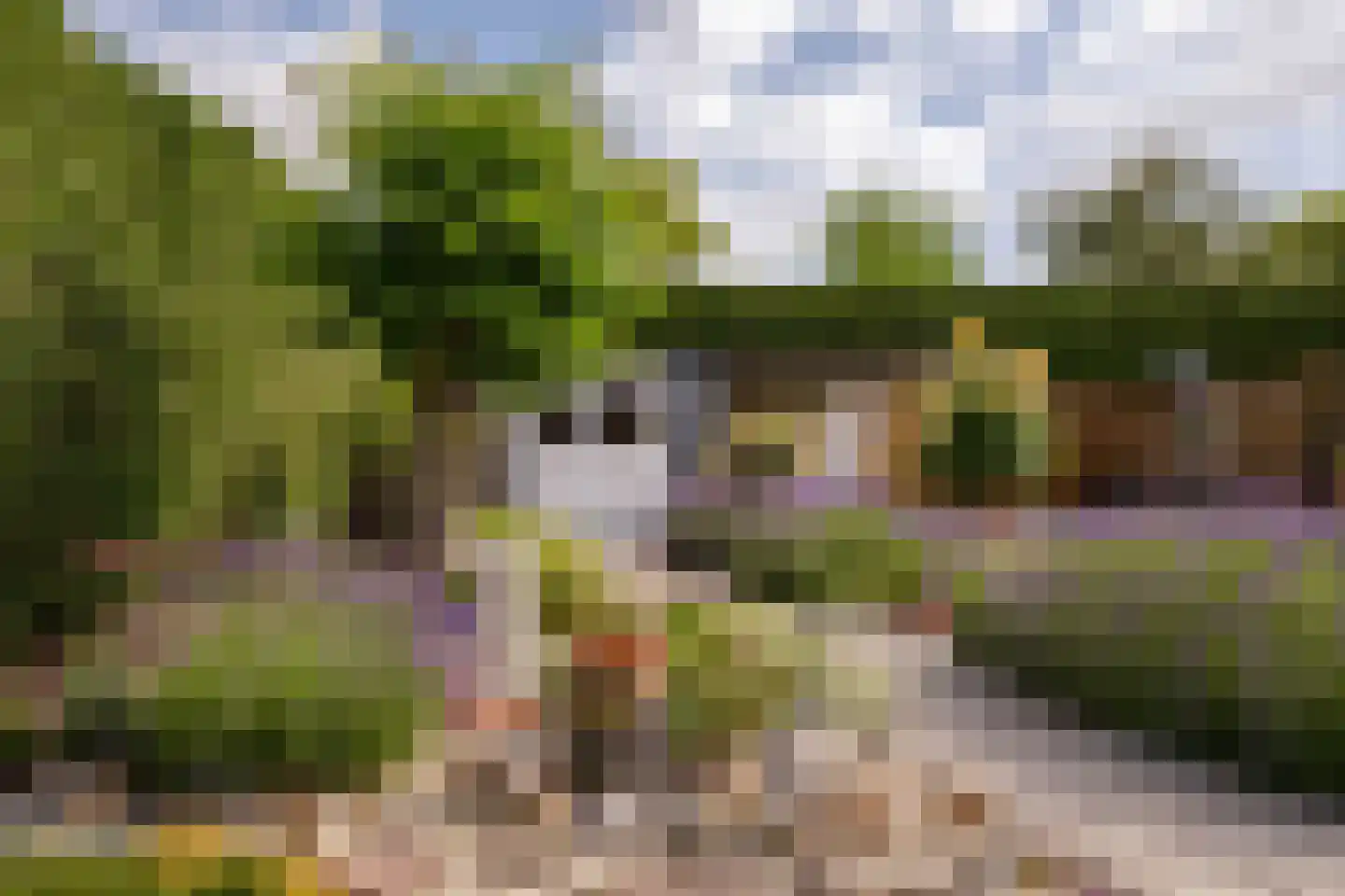 Pr Bernhardstraat 45 Hoogerheide thumbnail 35