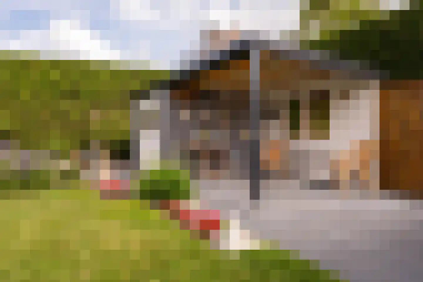 Pr Bernhardstraat 45 Hoogerheide thumbnail 38
