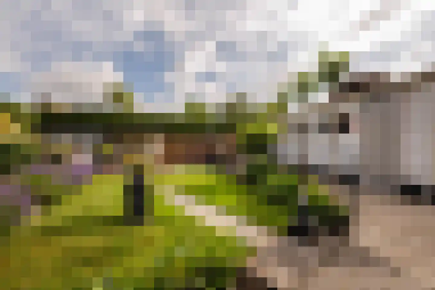 Pr Bernhardstraat 45 Hoogerheide thumbnail 5