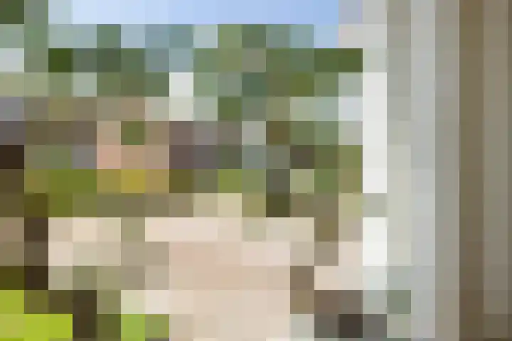 Pr. Bernhardstraat 8 Uithuizermeeden foto 3