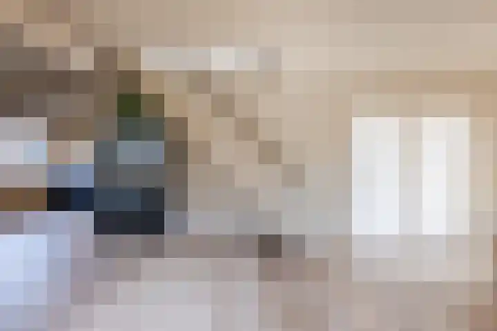 Pr.Clauslaan 12 Nieuwleusen thumbnail 11