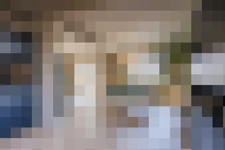 Pr.Clauslaan 12 Nieuwleusen thumbnail 13