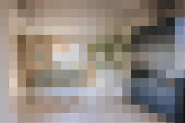 Pr.Clauslaan 12 Nieuwleusen thumbnail 14