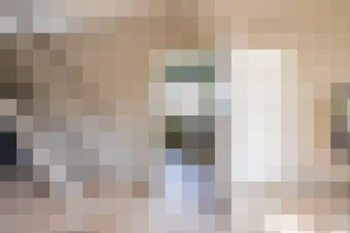 Pr.Clauslaan 12 Nieuwleusen thumbnail 18