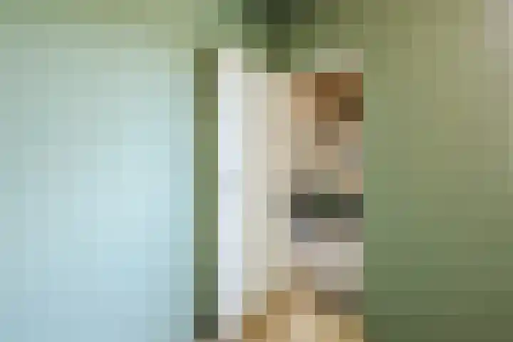 Pr.Clauslaan 12 Nieuwleusen thumbnail 21
