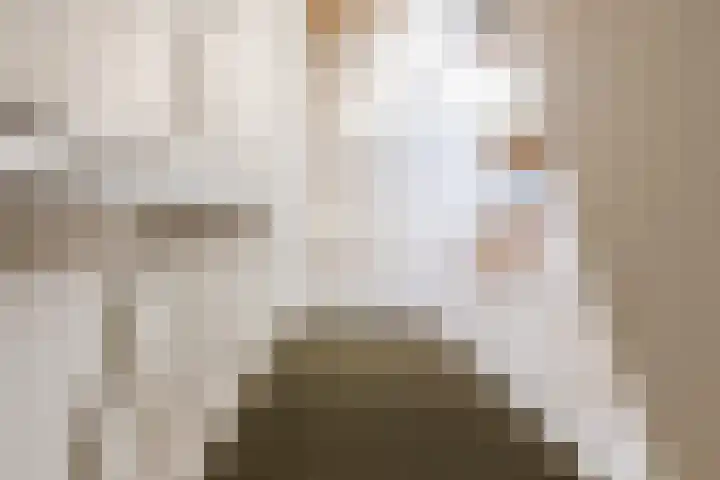 Pr.Clauslaan 12 Nieuwleusen thumbnail 25
