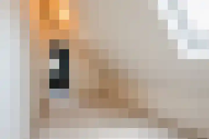 Pr.Clauslaan 12 Nieuwleusen thumbnail 27