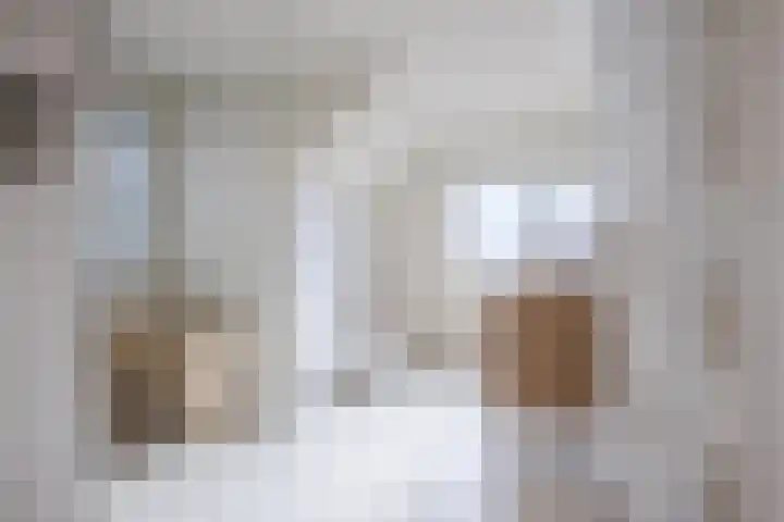Pr.Clauslaan 12 Nieuwleusen thumbnail 30