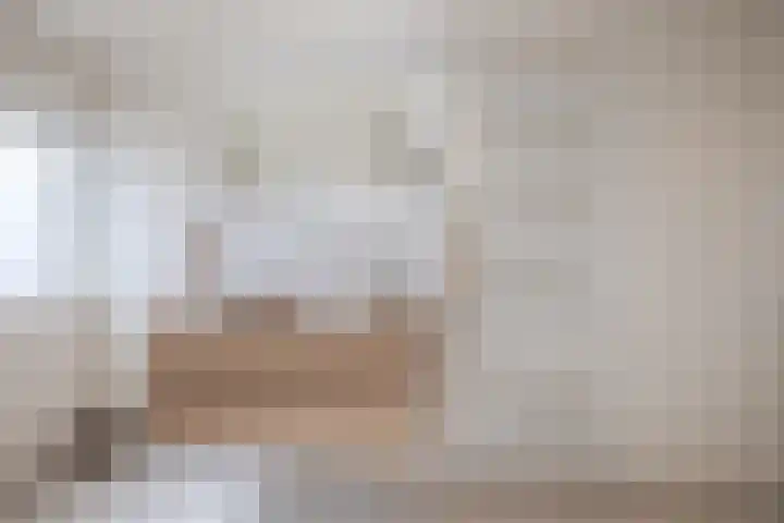 Pr.Clauslaan 12 Nieuwleusen thumbnail 32