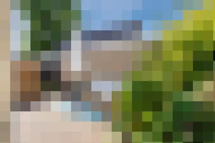 Pr.Clauslaan 12 Nieuwleusen thumbnail 47