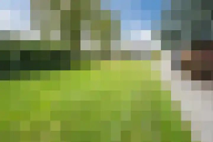 Pr.Clauslaan 12 Nieuwleusen thumbnail 51