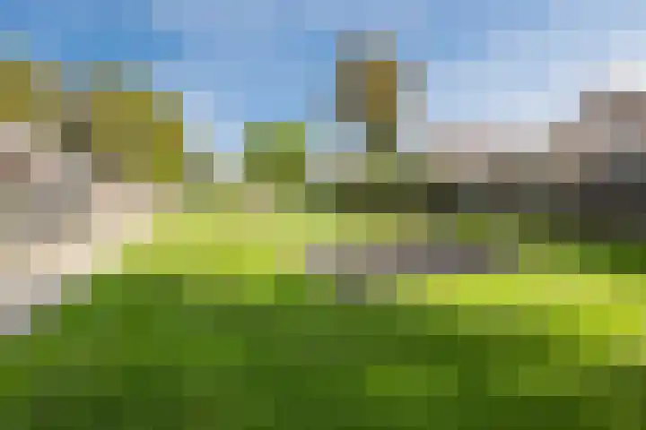 Pr.Clauslaan 12 Nieuwleusen thumbnail 52