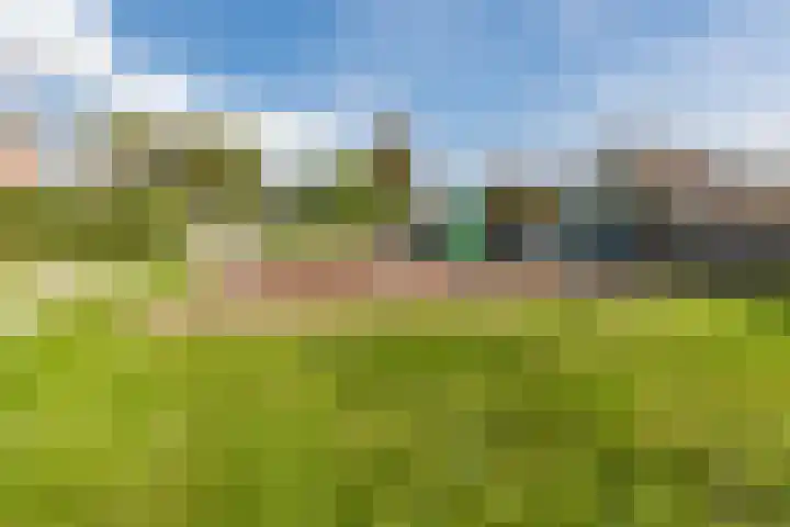 Pr.Clauslaan 12 Nieuwleusen thumbnail 53