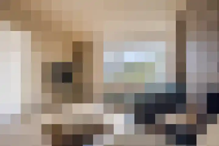 Pr.Clauslaan 12 Nieuwleusen thumbnail 6