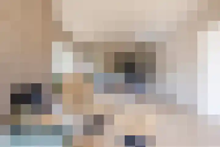 Pr.Clauslaan 12 Nieuwleusen thumbnail 8