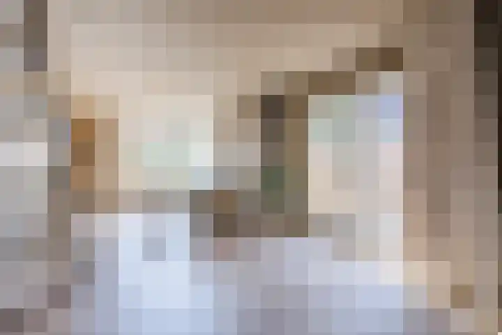 Pr.Clauslaan 12 Nieuwleusen thumbnail 9