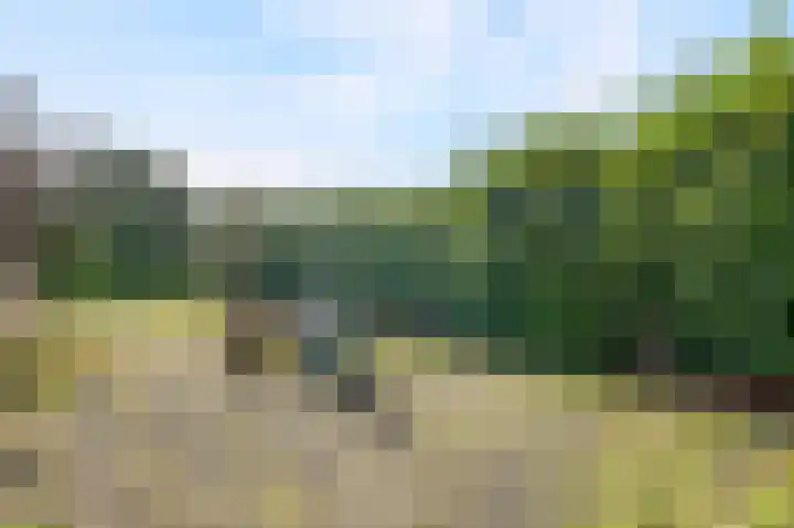 Pr.Clauslaan 33 Nieuwleusen thumbnail 41