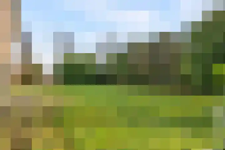 Pr.Clauslaan 33 Nieuwleusen thumbnail 44