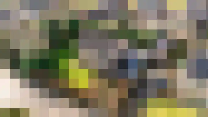 Pr.Clauslaan 33 Nieuwleusen thumbnail 49