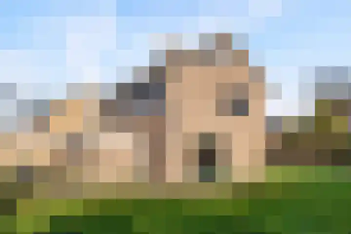Pr.Clauslaan 33 Nieuwleusen thumbnail 6