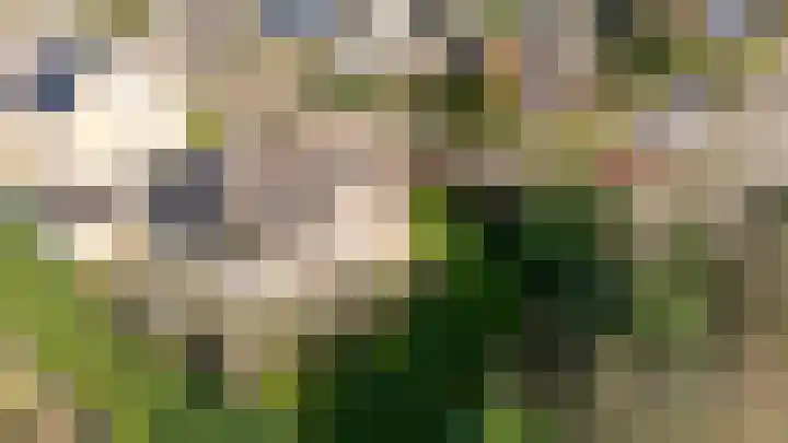 Pr.Clauslaan 33 Nieuwleusen thumbnail 9