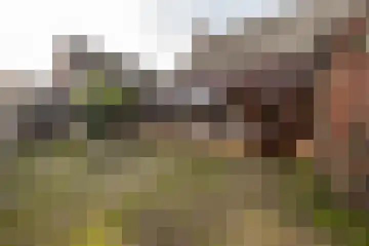 Pr Clausstraat 4 Hoogerheide thumbnail 35