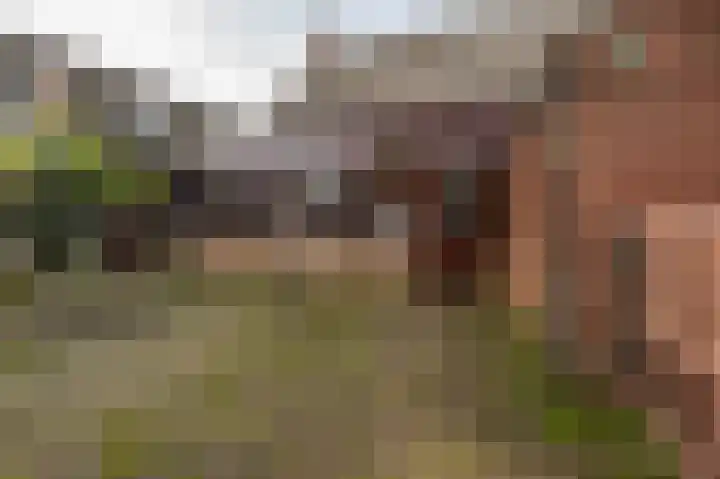 Pr Clausstraat 4 Hoogerheide thumbnail 36