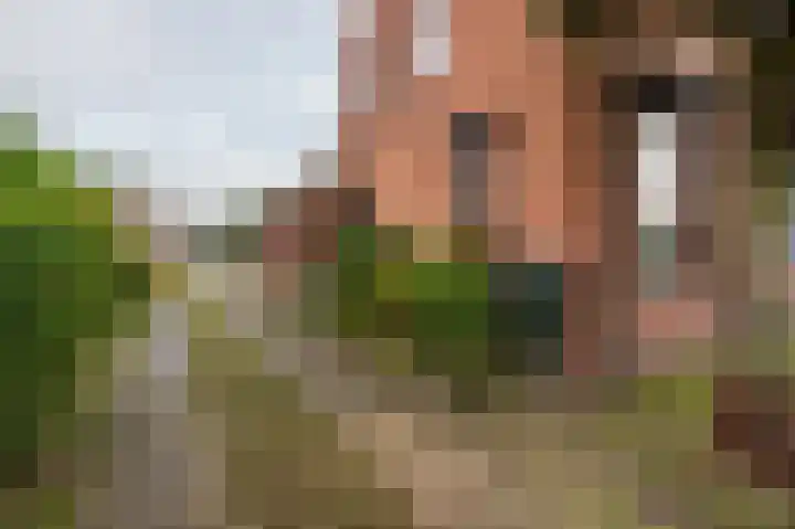 Pr Clausstraat 4 Hoogerheide thumbnail 4