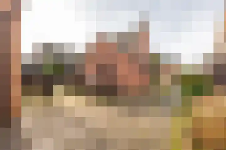 Pr Clausstraat 4 Hoogerheide thumbnail 48