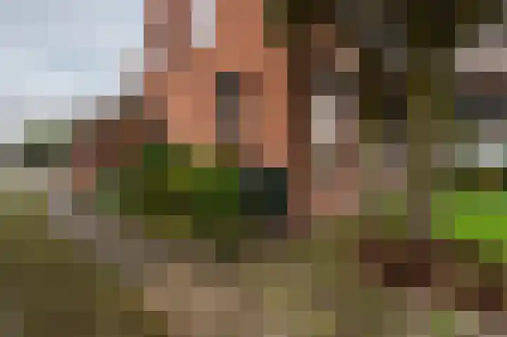 Pr Clausstraat 4 Hoogerheide thumbnail 5