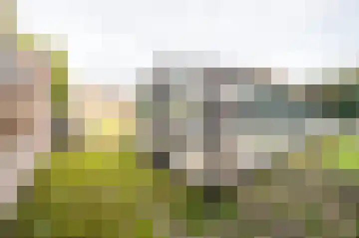 Pr Clausstraat 4 Hoogerheide thumbnail 57