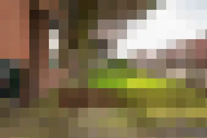 Pr Clausstraat 4 Hoogerheide thumbnail 6