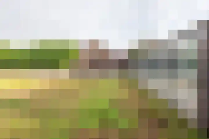 Pr Clausstraat 4 Hoogerheide thumbnail 60