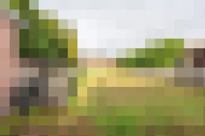 Pr Clausstraat 4 Hoogerheide thumbnail 61