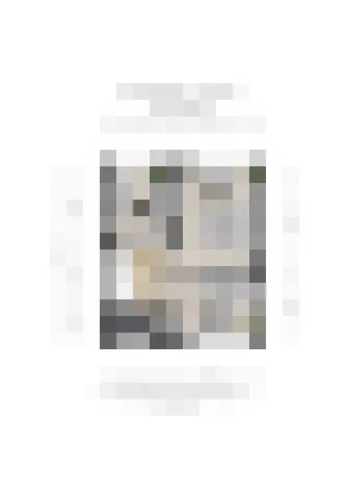 Pr Hendriklaan 11 Amerongen thumbnail 18